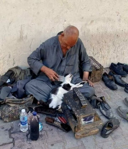 Египет, которого не видят туристы Египет, которого не видят туристы